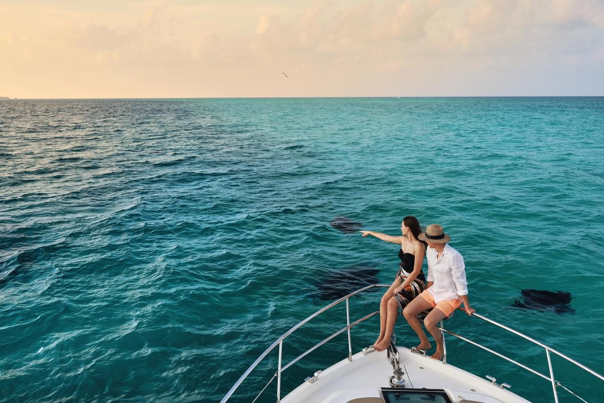 Dolphin Watching Cruise