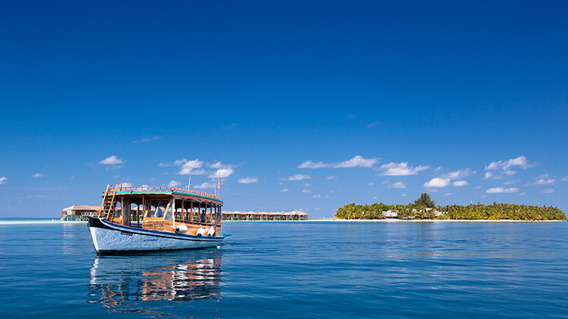 Island Hopping Adventure